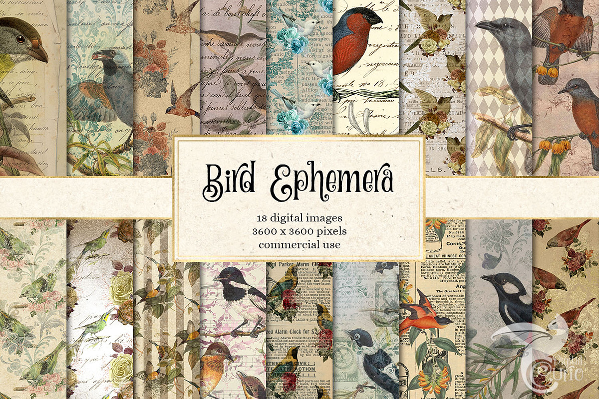 Bird Ephemera Digital Paper in Textures - product preview 8
