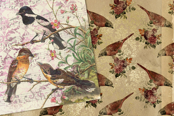Bird Ephemera Digital Paper in Textures - product preview 2