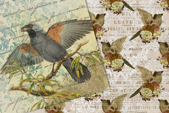 Bird Ephemera Digital Paper in Textures - product preview 3
