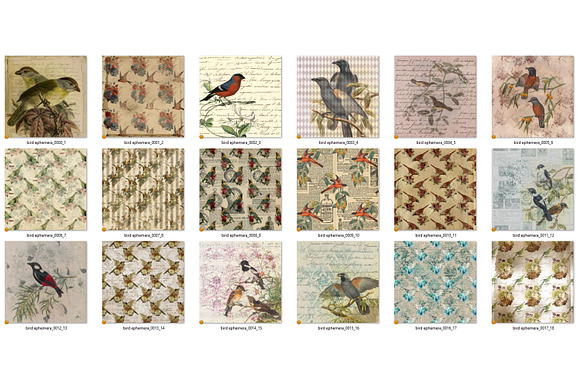 Bird Ephemera Digital Paper in Textures - product preview 4