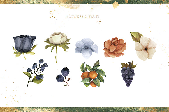 Zephyr Watercolor Collection in Illustrations - product preview 29