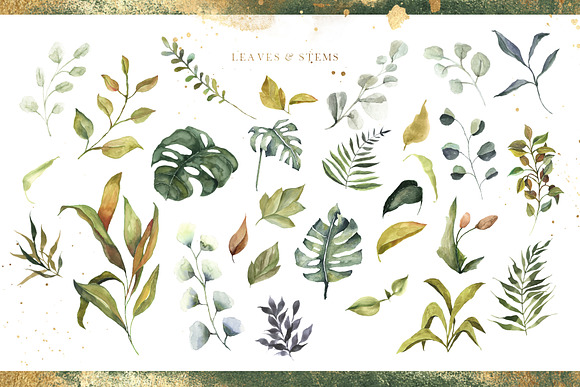 Zephyr Watercolor Collection in Illustrations - product preview 30