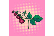 raspberry twig. wild berry
