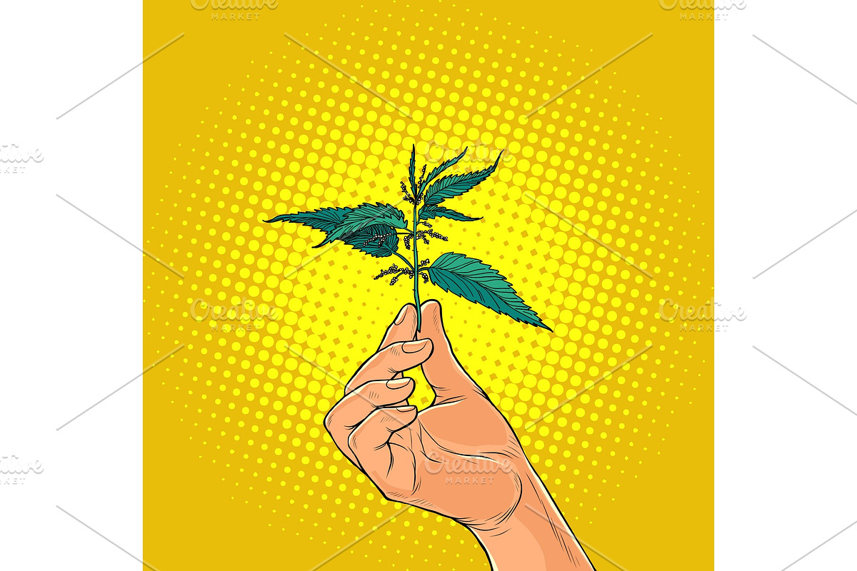 nettle, green burning plant in the in Illustrations - product preview 8