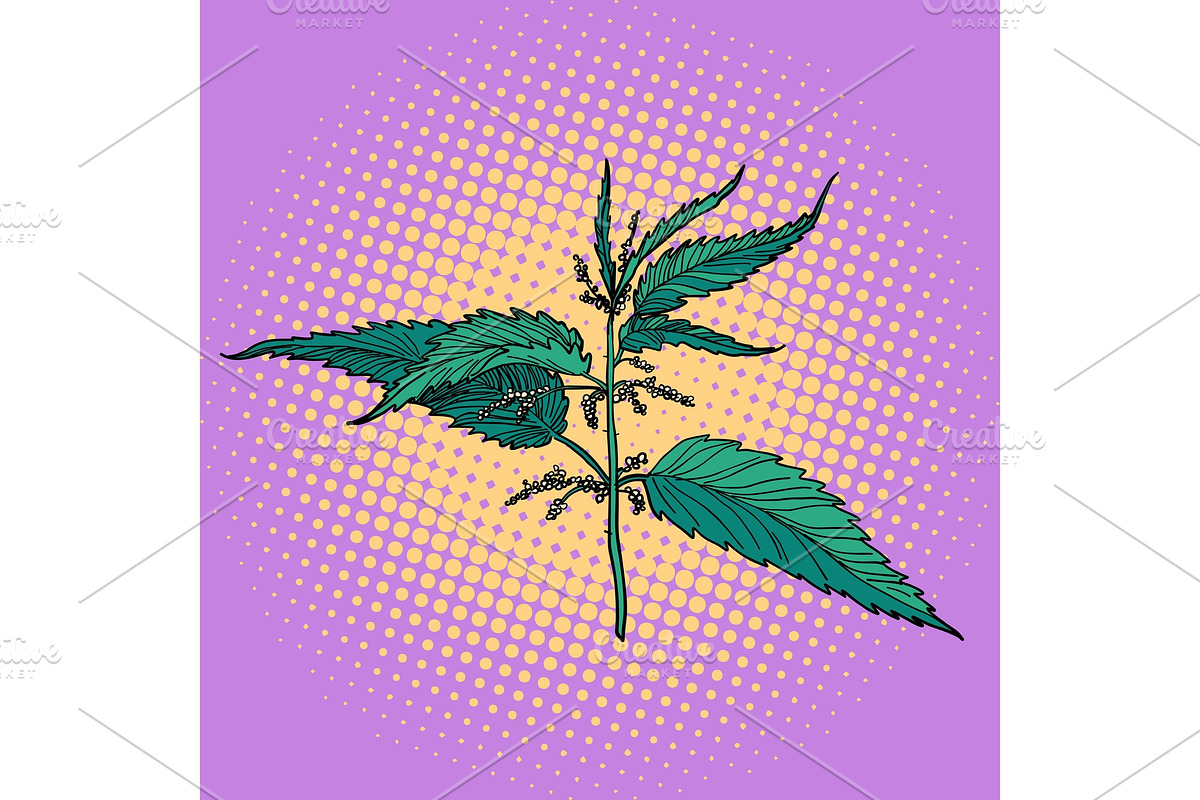 nettle, green burning plant in Illustrations - product preview 8
