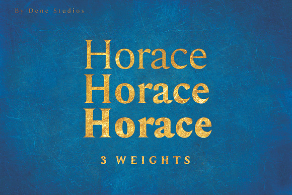 HORACE: A Strong Serif Type in Serif Fonts - product preview 2
