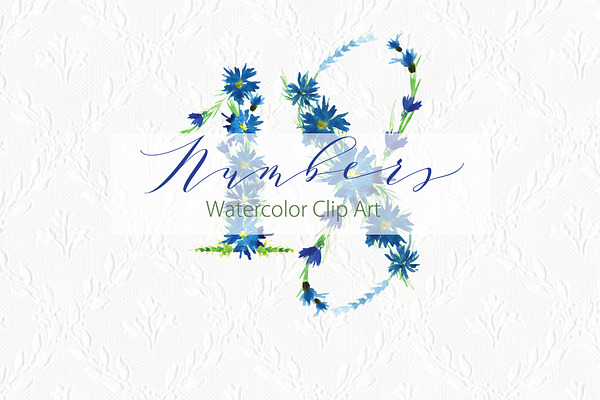Cornflower number watercolor clipart