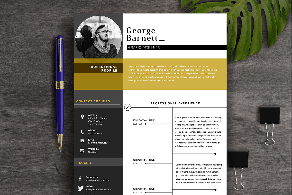 Resume Template 2 Page | CV Template in Letter Templates - product preview 8