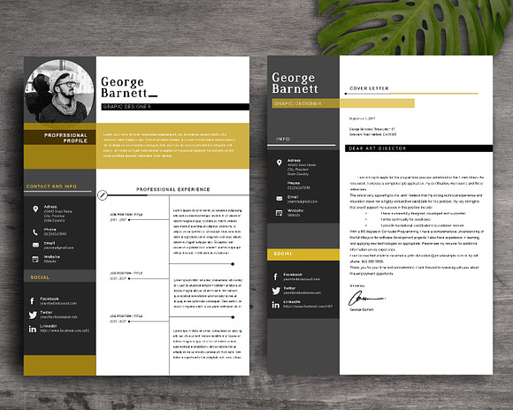 Resume Template 2 Page | CV Template in Letter Templates - product preview 1