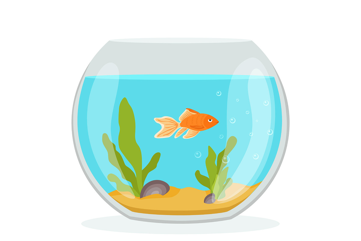 Vector aquarium with golden fish in Illustrations - product preview 8