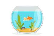 Vector aquarium with golden fish