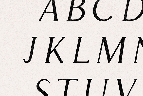 Apricot - Handlettered Serif Font in Serif Fonts - product preview 2