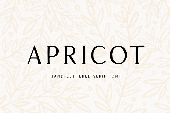 Apricot - Handlettered Serif Font in Serif Fonts - product preview 6