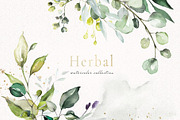Herbal Watercolor collection