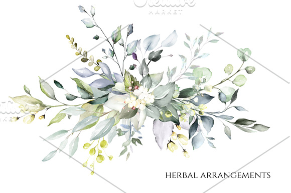 Herbal Watercolor collection in Illustrations - product preview 1