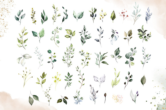 Herbal Watercolor collection in Illustrations - product preview 2