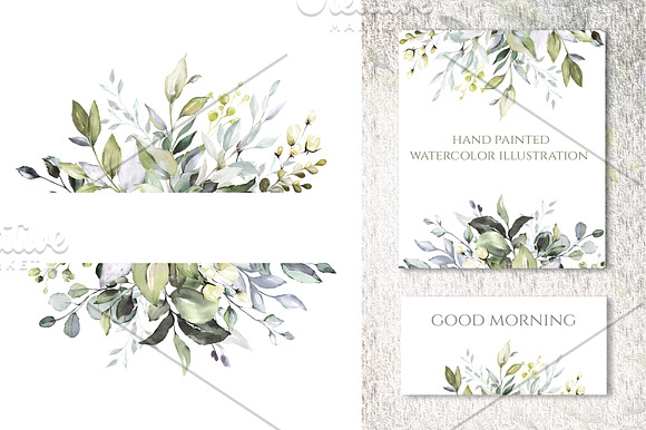 Herbal Watercolor collection in Illustrations - product preview 5