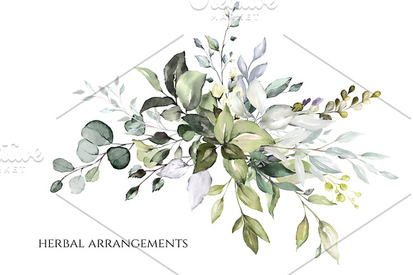Herbal Watercolor collection in Illustrations - product preview 6
