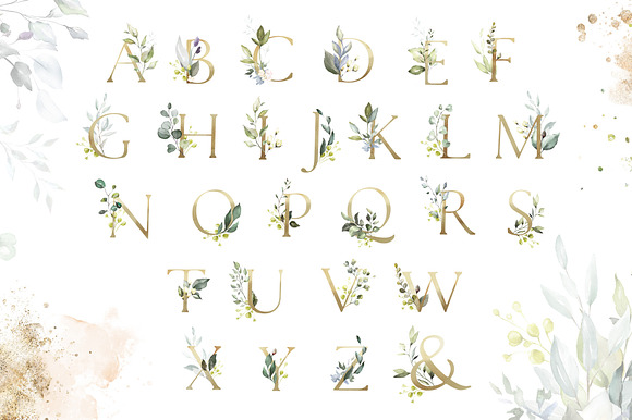 Herbal Watercolor collection in Illustrations - product preview 10