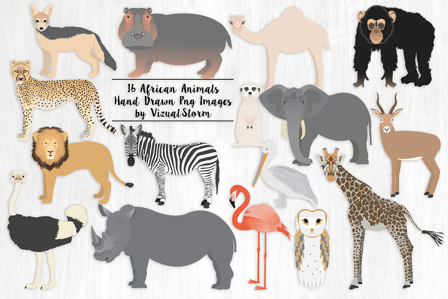 African Animals Illustration Bundle