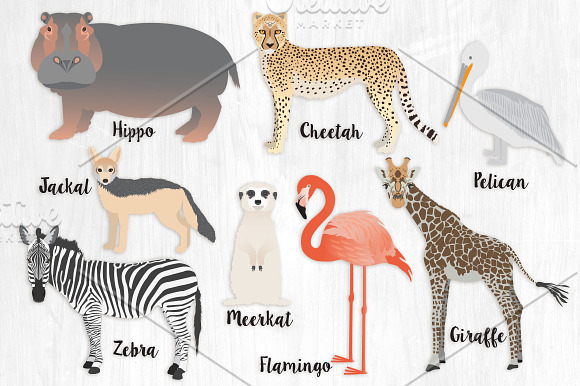 African Animals Illustration Bundle in Illustrations - product preview 1