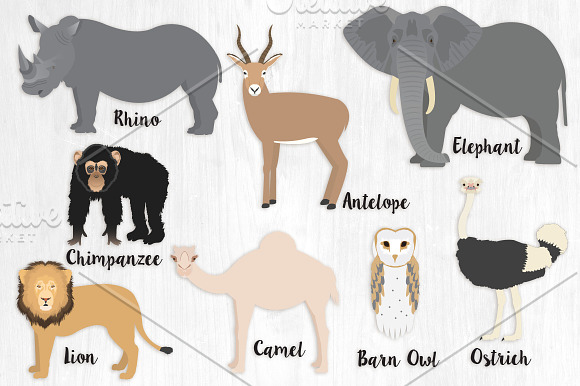 African Animals Illustration Bundle in Illustrations - product preview 2
