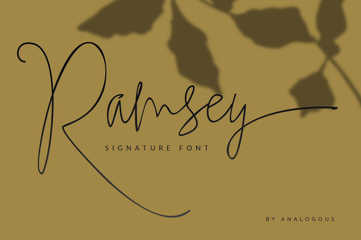 Ramsey Signature in Script Fonts - product preview 8