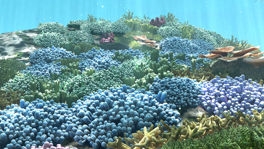 3D Cartoon Underwater Coral Reef Hab in Nature - product preview 1