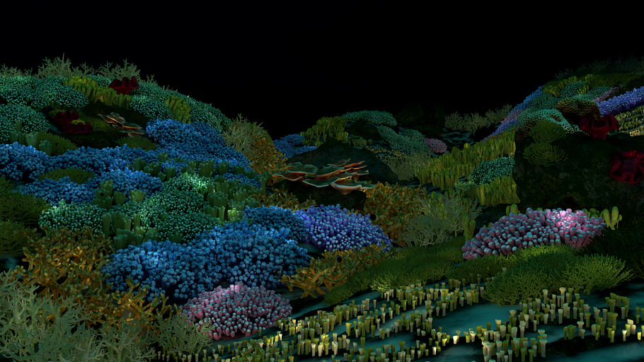 3D Cartoon Underwater Coral Reef Hab in Nature - product preview 18