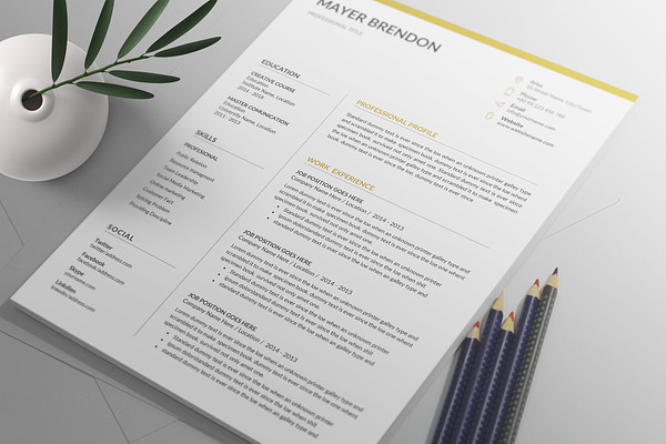 Resume/CV - 4 Page