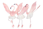 Flamingo Dancing Ballet
