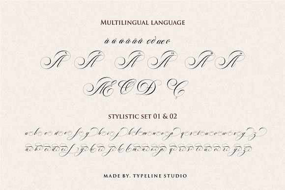 Switzerland Stylish Calligraphy in Script Fonts - product preview 10