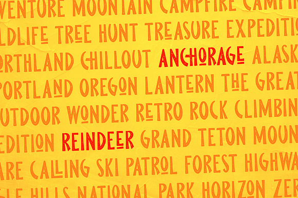 Pine Forest - Outdoor Typeface in Sans-Serif Fonts - product preview 2