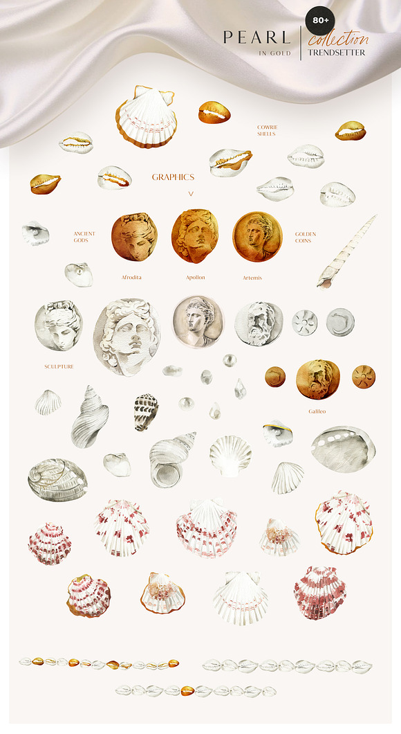 PEARL IN GOLD shell trend collection in Illustrations - product preview 3