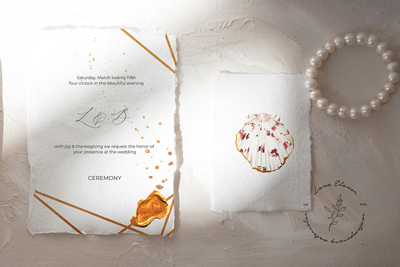 PEARL IN GOLD shell trend collection in Illustrations - product preview 6