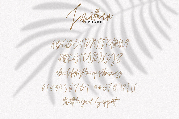 JONATHAN SIGNATURE in Script Fonts - product preview 7