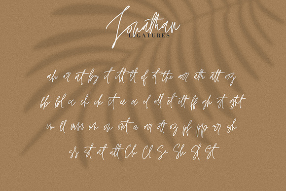 JONATHAN SIGNATURE in Script Fonts - product preview 8