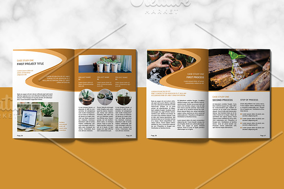 Case Study Booklet - V01 in Brochure Templates - product preview 1