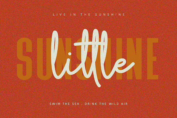 Lottus Typeface in Script Fonts - product preview 7