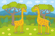 Happy giraffes