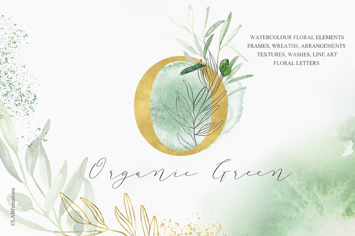 Organic Green Olive watercolors in Illustrations - product preview 8