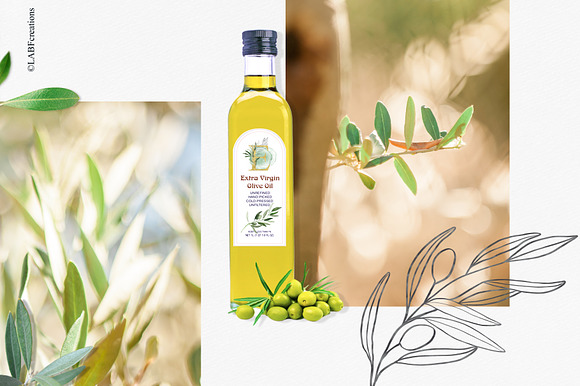 Organic Green Olive watercolors in Illustrations - product preview 3