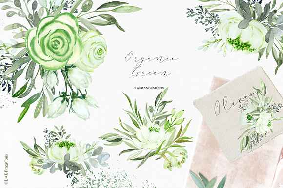 Organic Green Olive watercolors in Illustrations - product preview 6