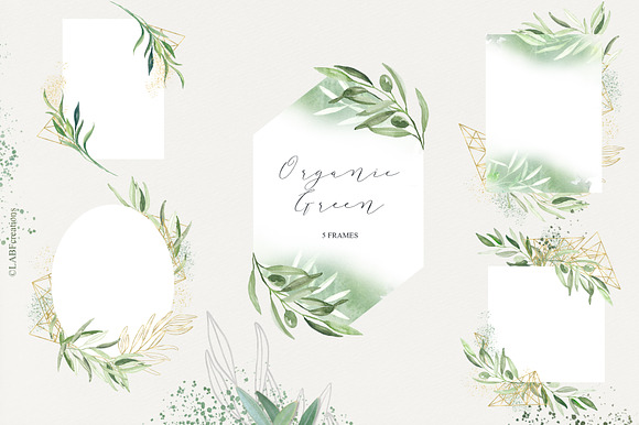 Organic Green Olive watercolors in Illustrations - product preview 7