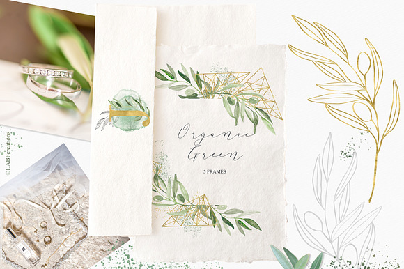 Organic Green Olive watercolors in Illustrations - product preview 8