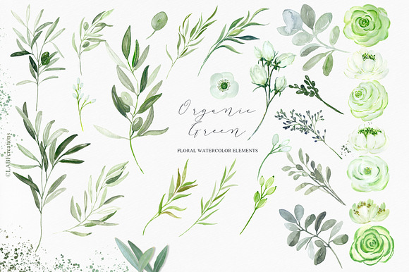 Organic Green Olive watercolors in Illustrations - product preview 9
