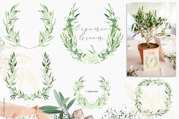 Organic Green Olive watercolors in Illustrations - product preview 10