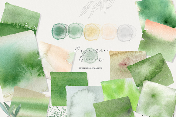 Organic Green Olive watercolors in Illustrations - product preview 12
