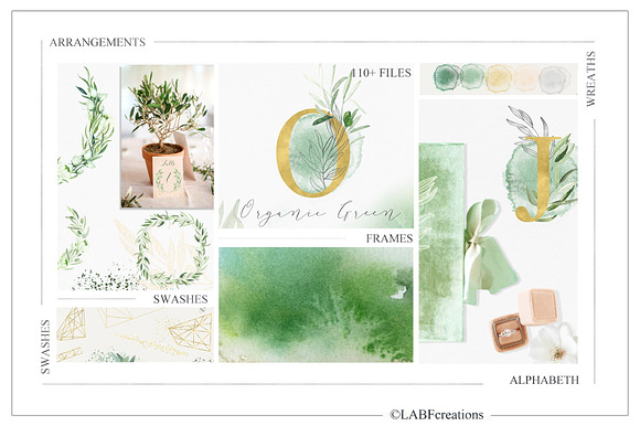 Organic Green Olive watercolors in Illustrations - product preview 13