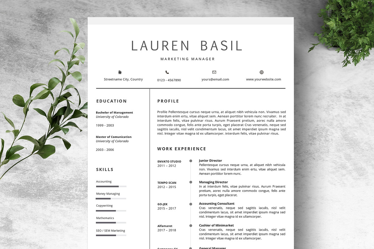 Professional Resume Template in Letter Templates - product preview 8